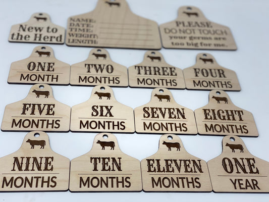 Monthly Milestone with Birth Stats